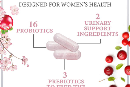 Probiotics for Women Digestive Health Support - 90 Billion CFU Women'S Probiotic, 16 Strains, Cranberry, Vaginal Probiotic with Prebiotics, PH, Immune, Urinary, & Feminine Health Support, 60 Capsules