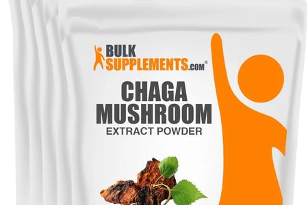 Bulksupplements Chaga Mushroom Extract Powder - Mushroom Supplement - Vegan & Herbal, 1G per Serving, 5Kg (11 Lbs)