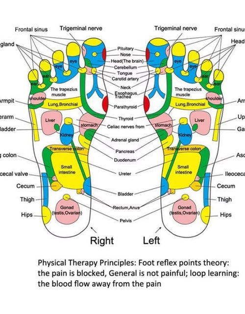 Load image into Gallery viewer, Revitalize Your Feet with the Ultimate Acupressure Reflexology Massage Pad – Perfect for Health and Relaxation!
