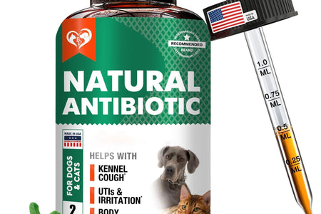 Natural Herbal Antibiotics for Cats and Dogs Kennel Cough Relief & Urinary Tract Support Cranberry UTI Treatment Pet Supplement Respiratory & Cold Infection Medicine Made in USA