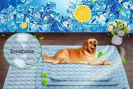 Pet Dog Cat Ice Silk Cold Nest Pad for Cooling in Summer