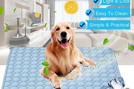 Pet Dog Cat Ice Silk Cold Nest Pad for Cooling in Summer