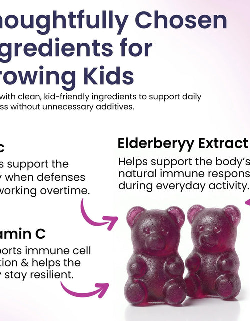 Load image into Gallery viewer, Elderberry Gummies for Kids 3 in 1 Immune Support with Zinc Vitamin C 60 Count Kids Elderberry Gummies for Daily Immunity Vegan Formula for Strong Immune Health
