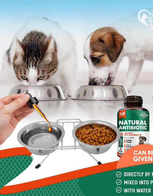 Load image into Gallery viewer, Natural Herbal Antibiotics for Cats and Dogs Kennel Cough Relief &amp; Urinary Tract Support Cranberry UTI Treatment Pet Supplement Respiratory &amp; Cold Infection Medicine Made in USA
