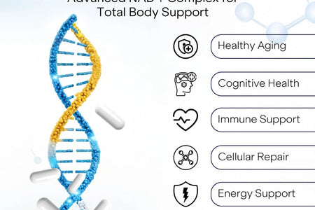 NAD Capsules Resveratrol Liposomal Nicotinamide Riboside Quercetin Vitamin B3 NAD Supplement for Women and Men anti Aging Boost Focus and Energy Cell Regeneration Supplement 120 Capsules
